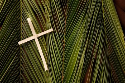 Palm Sunday In The United States