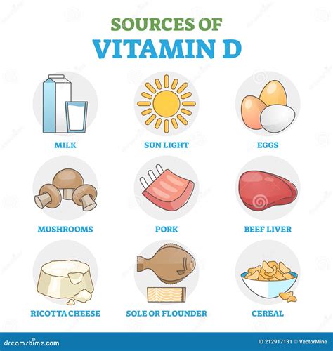 Fonti Di Vitamina D Negli Alimenti Come Metodo Sano Di Aspirazione