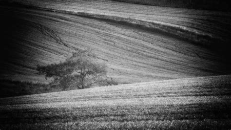 Sadness Photo And Image Landscape Fields And Meadows Places And Views