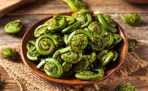 How To Cook Fiddlehead Ferns Edible Communities