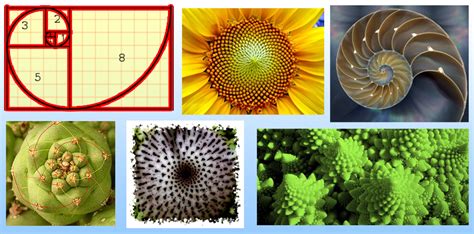 Fibonacci Sequence Wikieducator