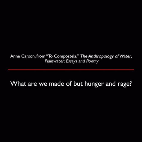 Anne Carson To Compostela The Anthropology Of Water Plainwater Essays And Poetry Quote Lit