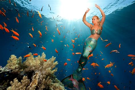 This is a book for everyone who wants to become a part of the ocean. Which mermaid's better? Poll Results - H2O Just Add Water ...