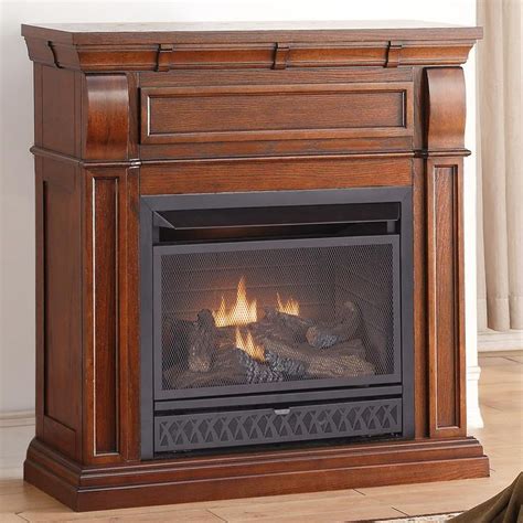 Procom 42 In Ventless Dual Fuel Gas Fireplace In Chestnut Oak With Thermostat 170096 With