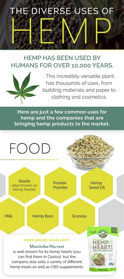 The Diverse Uses Of Hemp Common And Unusual Uses Of Hemp