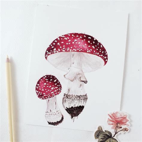 Amanita Muscaria One Of My Favourite Poisonous Mushrooms To Illustrate