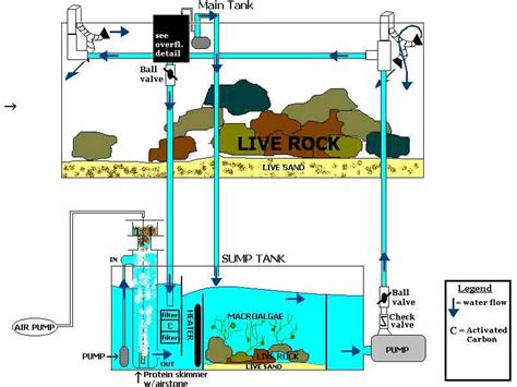 Blue Print For Sump Re Need Some Advice On Aquarium Thanks Bob I