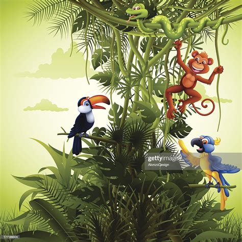Rainforest Background With Wild Animals High Res Vector Graphic Getty