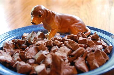 Recipe for people with diabetes is generally the same as a healthy recipe for. Beef Heart Dog Treat Recipe