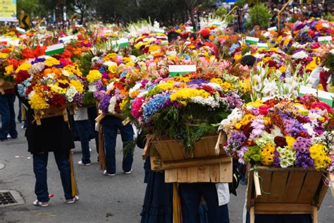 Send Flowers To Colombia Medellin Medellín Flower Festival → Colombia