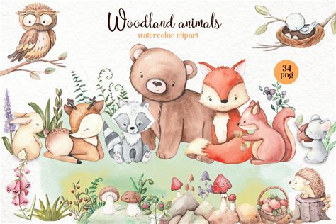 Watercolor Clipart Of Forest Animals Cute Forest Clipart By