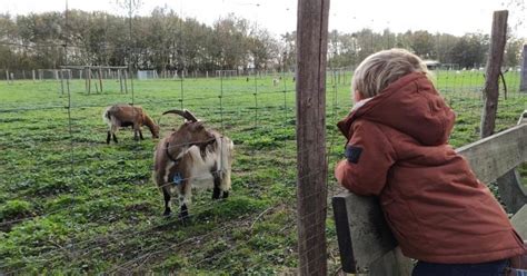 Wandelroute In Oost Vlaanderen Erfgoedwandeling Puyenbroeck Libelle