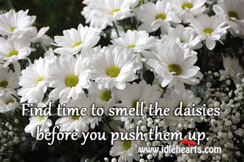 Find Time To Smell The Daisies