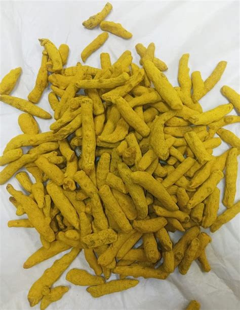 Nizamabad Turmeric Finger Double Polished A Grade Kg At Best Price
