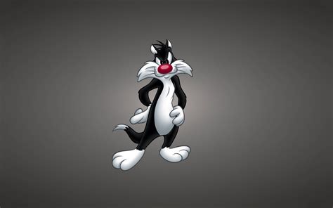 Looney Tunes Hd Wallpapers