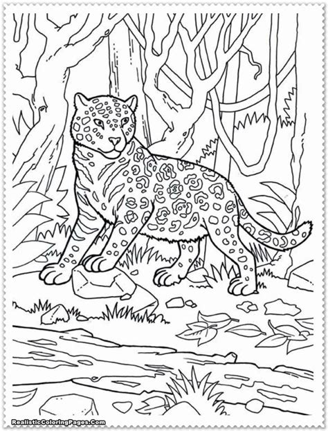 Brilliant Picture Of Jungle Animal Coloring Pages