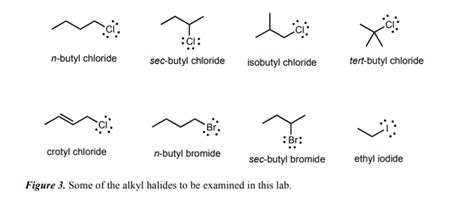 Solved بند C1 N Butyl Chloride Sec Butyl Chloride