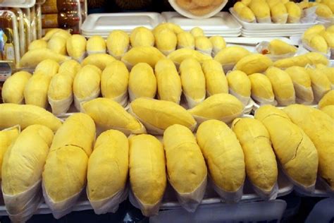 ทุเรียนไทยในวันนี้ ส่วนเศรษฐกิจภาคใต้ ธนาคารแห่งประเทศไทย (ธปท.) ได้สำรวจข้อมูลเกี่ยวกับทุเรียนของไทย พบว่า พื้นที่ปลูกทุเรียนเพิ่มขึ้นมาก. เทคนิคดีๆ ในการรับประทานทุเรียนให้อร่อย