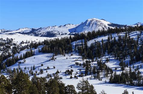 Mountains Scenery Nevada Snow Trees Nature Forest Sky Winter Wallpapers Hd Desktop And