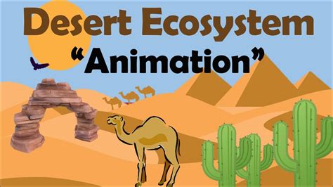Desert Ecosystem Biology Animation Youtube