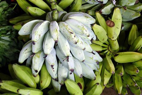 A Guide To 6 Different Types Of Bananas