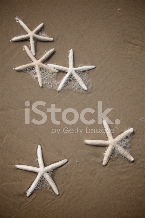Collection Of Starfish With Bubbles On Brown Sand Stock Photo Royalty