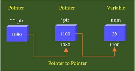 C Pointer To Pointer Theory And Example Electricalworkbook