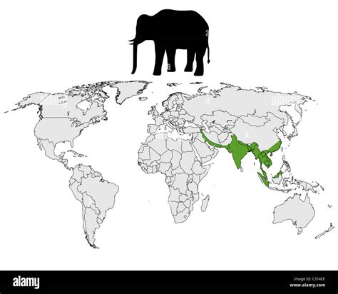 Répartition de l'éléphant d'Asie Photo Stock - Alamy