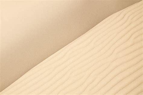 Free Images Sand Wing Wood Arid Desert Dune Floor Line