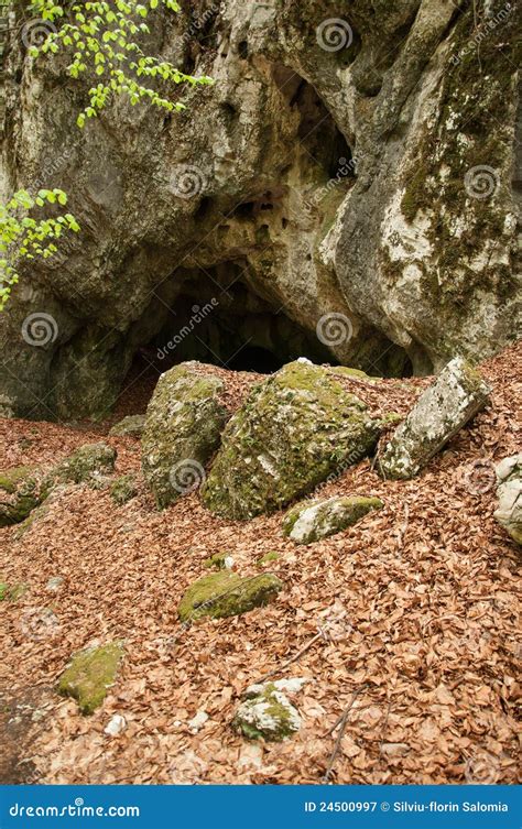 Small Cave Entrance In A Forest Royalty Free Stock Photography Image