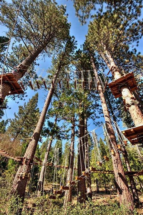 Tahoe Treetop Adventure Park Go Tahoe North