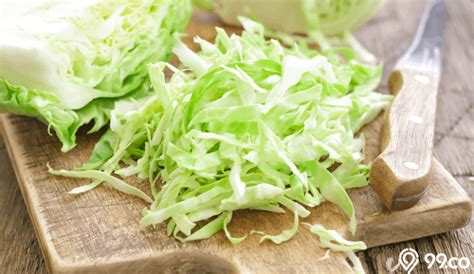 Tentunya, anda tertarik bukan untuk mencicipi makanan olahan yang terbuat dari sayur kol. Tak Disangka, Ini 7 Manfaat Sayur Kol untuk Kesehatan Tubuh