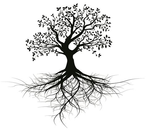 I Will Give You Old Black Vector Tree With Root Design For 15 Seoclerks
