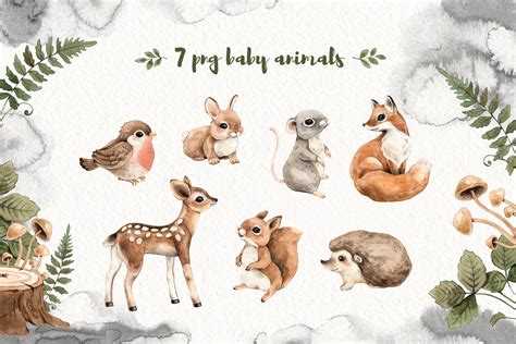 Watercolor Forest Little Animals Set Forest Animals Illustration