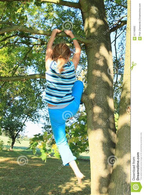 Little Kid Girl Climbing On Tree Stock Photo Image Of Foot Hanging