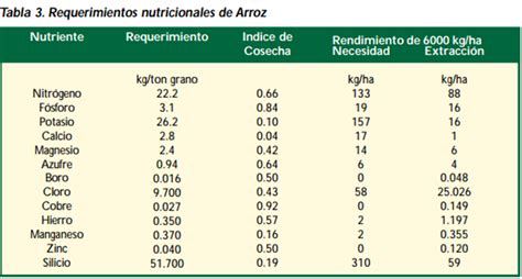 Agropecuarias Matriz De Requerimientos Nutricionales De Diferentes