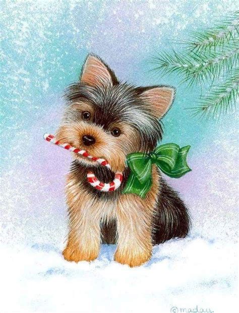 Christmas dog movies in which dean cain may or may not star. Pin by Nina on Yorkies | Dog christmas card, Animated christmas pictures, Animated christmas