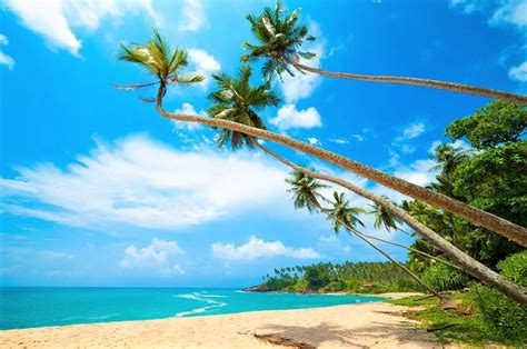 10 Beaches You Should Visit In Sri Lanka