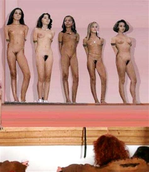 Nazi Collaborator Women Stripped Naked Image Fap