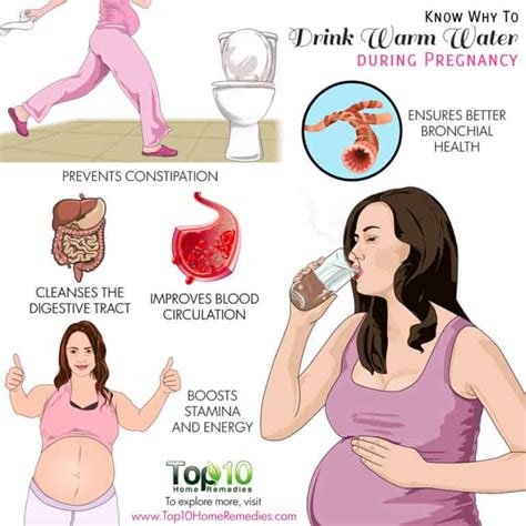 Know Why You Should Drink Warm Water During Pregnancy Top 10 Home