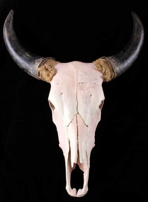 Native American Painted Buffalo Skull