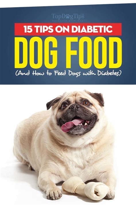 15 Tips On Diabetic Dog Food And How To Feed Dogs With Diabetes