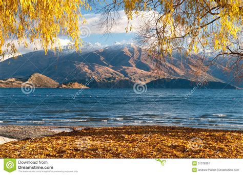 Lake Wanaka Stock Image Image Of Autumn Tourism View 31379397