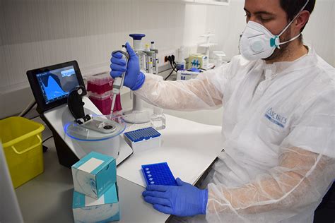 Prueba Pcr Pcr O Test De Anticuerpos Asi Son Las Pruebas De