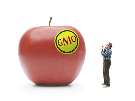 Check spelling or type a new query. GMO Labeling Would Cost Less Than A Penny A Day - Eat ...