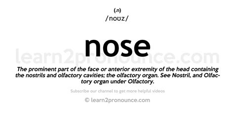 Pronunciation Of Nose Definition Of Nose Youtube
