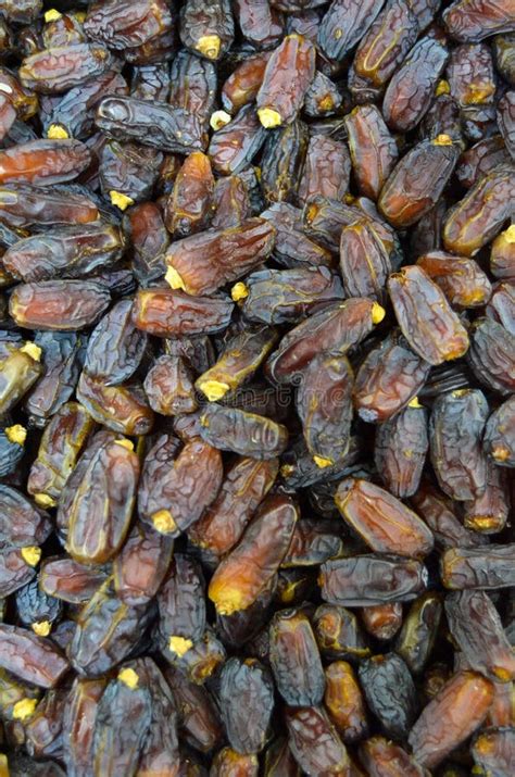 Dried Date Palm Fruit Brown Color Stock Photo Image Of Gourmet