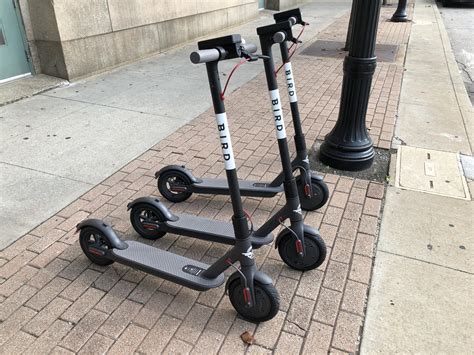 Bird Rides Electric Scooters Land In Cleveland Will They Create A Flap