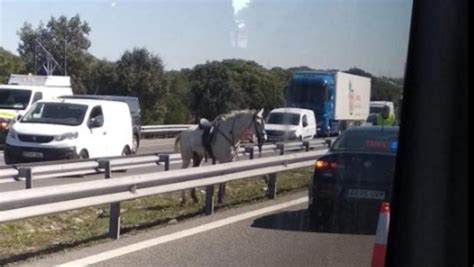 Un Caballo Desbocado Provoca Graves Retenciones En La A 5