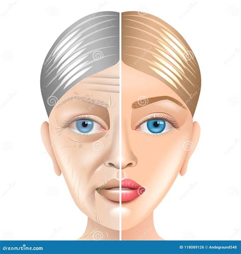 Young And Old Woman Face Aging Concept Isolated On White Vector Stock